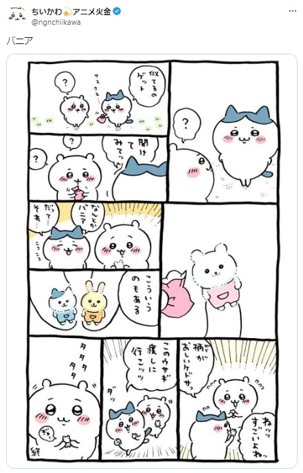 X埋め込み