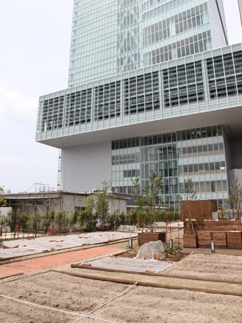 あべのハルカス近鉄本店